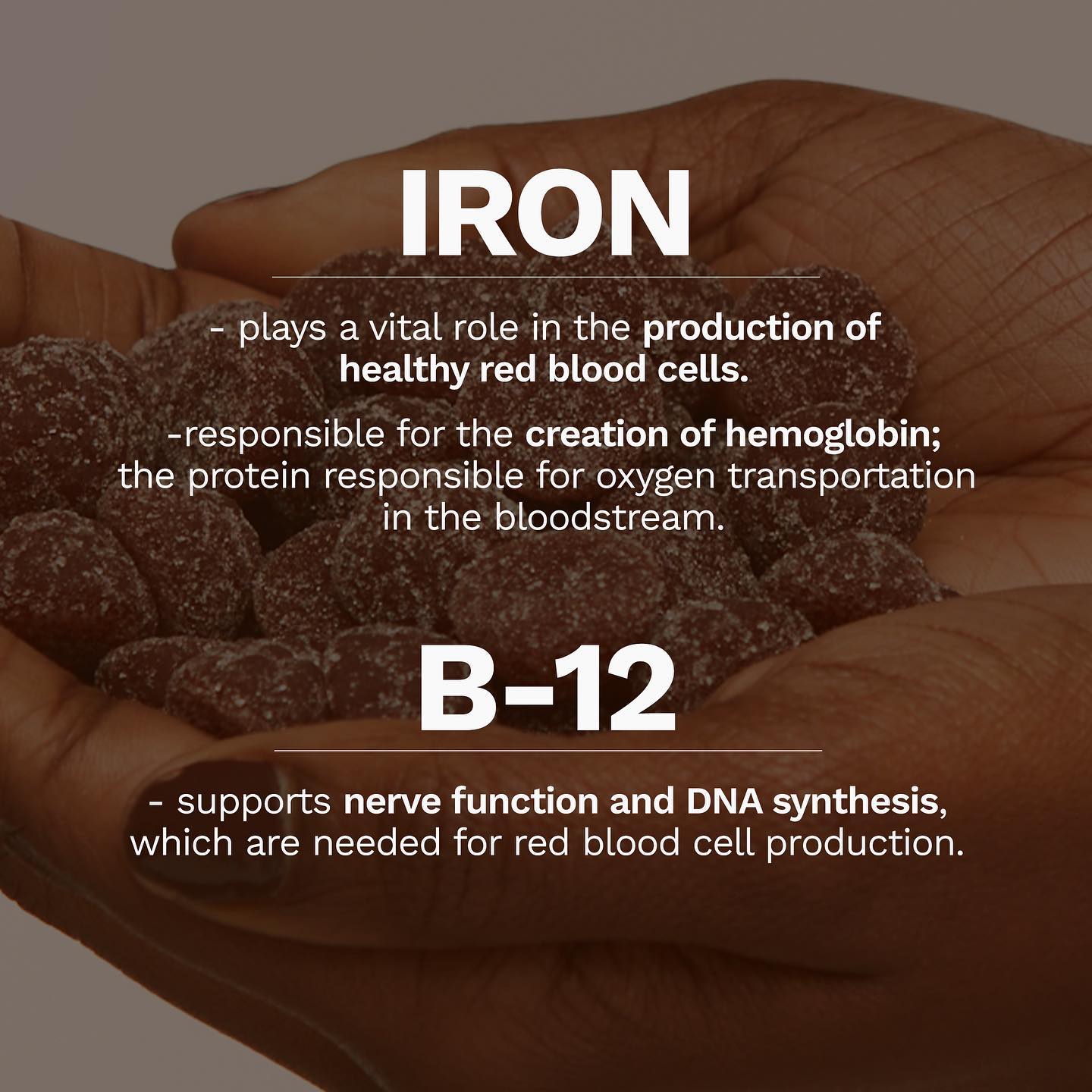 Energy Bundle - Black Friday